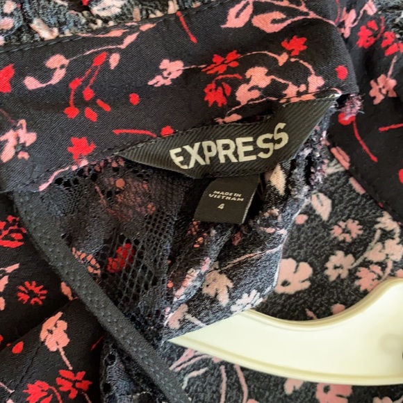 Express Dress - Picture 4 of 4